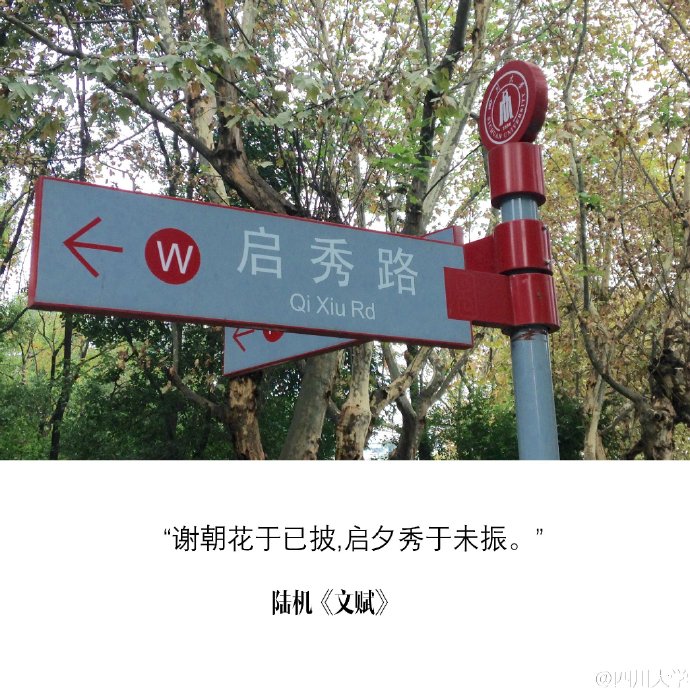 原来,川大校园的路牌都这么有文化